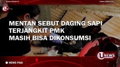 [Video] Mentan Sebut Daging Sapi Terjangkit PMK Masih Bisa Dikonsumsi