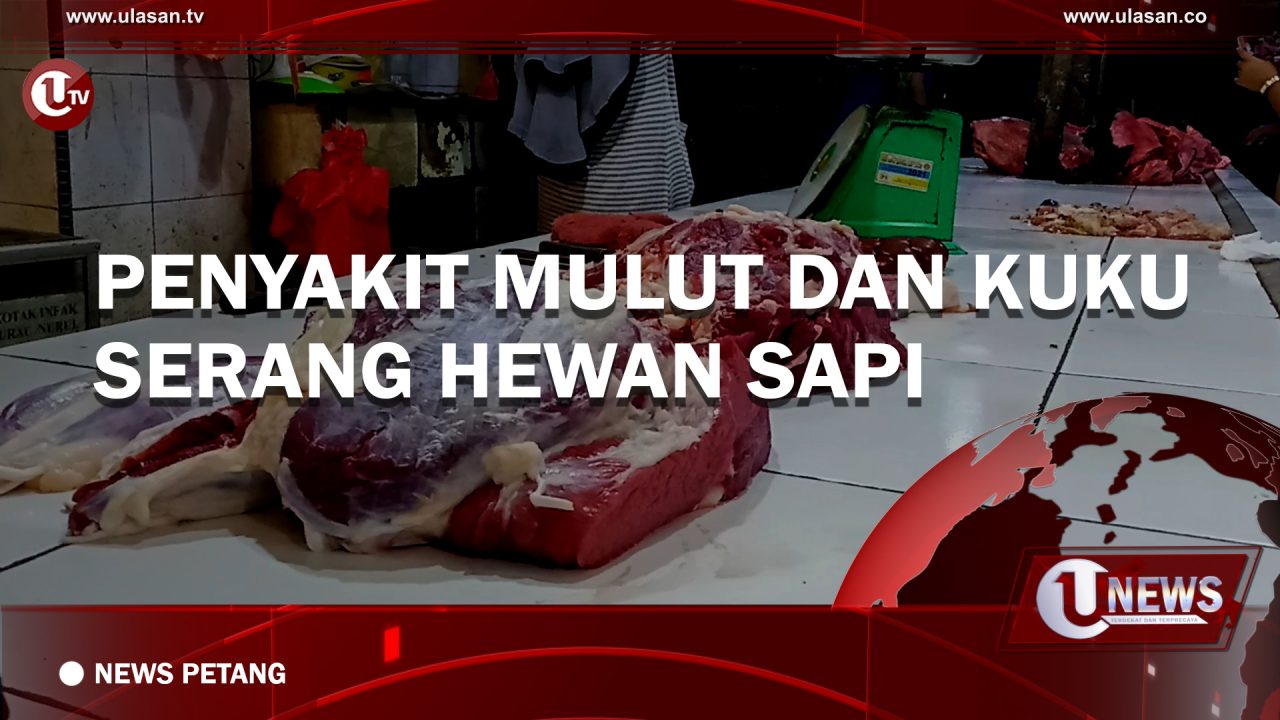 TANJUNGPINANG - Maraknya wabah penyakit mulut dan kuku pada hewan ternak sapi yang terjadi di wilayah provinsi Jawa Timur dan Aceh, tidak mempengaruhi penjualan daging sapi di pasar baru Tanjungpinang. Pedagang mengaku, penjualan daging sapi saat ini masih stabil.