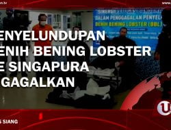 LIVE U NEWS SIANG 18 MEI 2022
