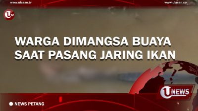 [Video] Warga Dimangsa Buaya Saat Pasang Jaring Ikan