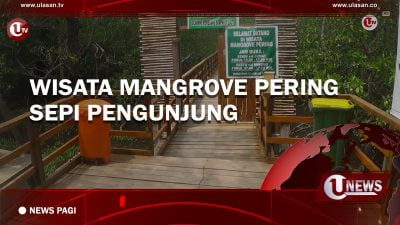 [Video] Wisata Mangrove Pering Sepi Pengunjung
