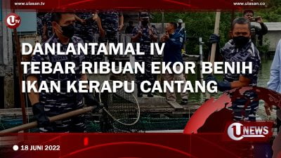 [Video]Danlantamal IV Tebar Ribuan Ekor Benih Ikan Kerapu Cantang