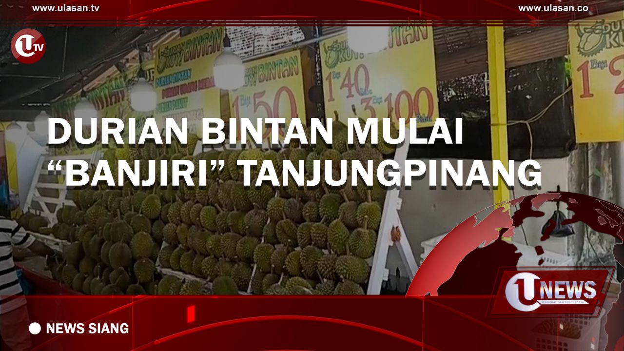 [Video] Durian Bintan Banjiri Tanjungpinang