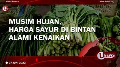 [Video]Musim Hujan, Harga Sayur Di Bintan Alami Kenaikan