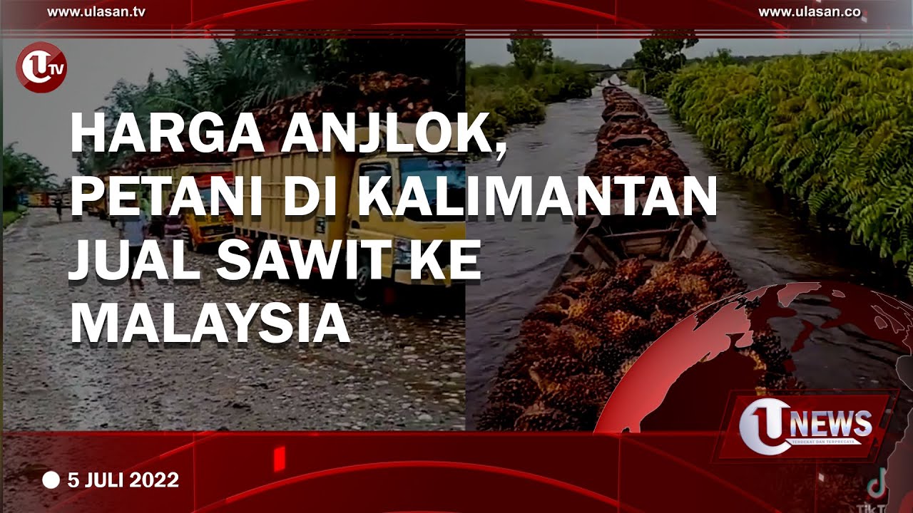 Live U-News Pagi 5 Juli 2022