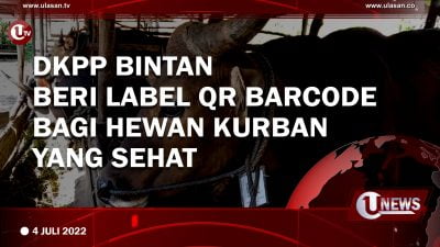 [Video]DKPP Bintan Beri Label QR Barcode Bagi Hewan Kurban Yang Sehat