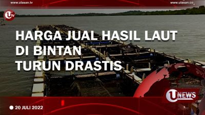[Video] Harga Jual Hasil Laut di Bintan Turun Drastis