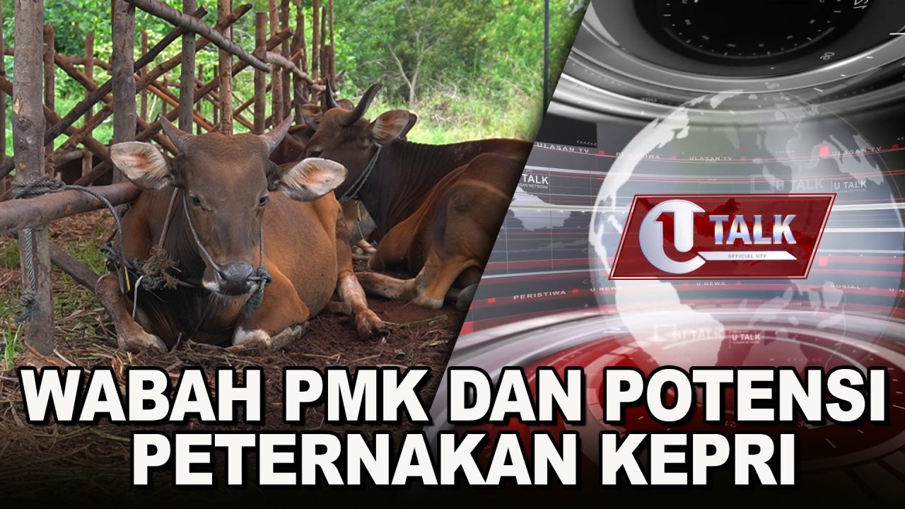 [LIVE] Wabah PMK dan Potensi Peternakan Kepri | U-TALK