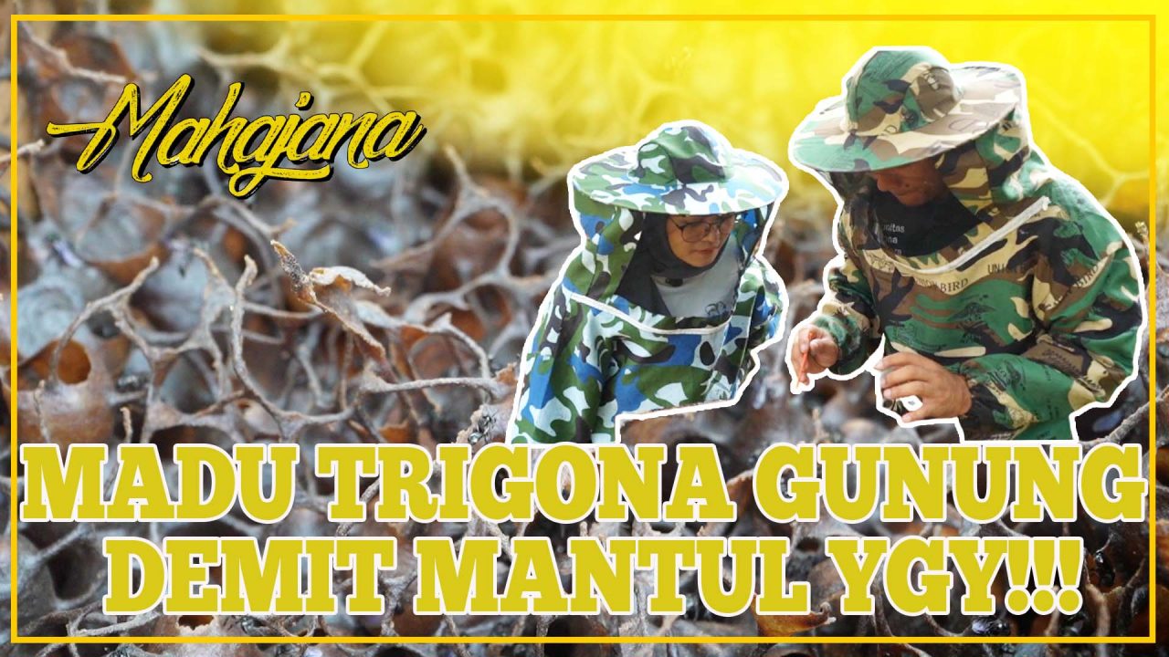 [Video] Madu Trigona Gunung Demit | MAHAJANA #EPS36