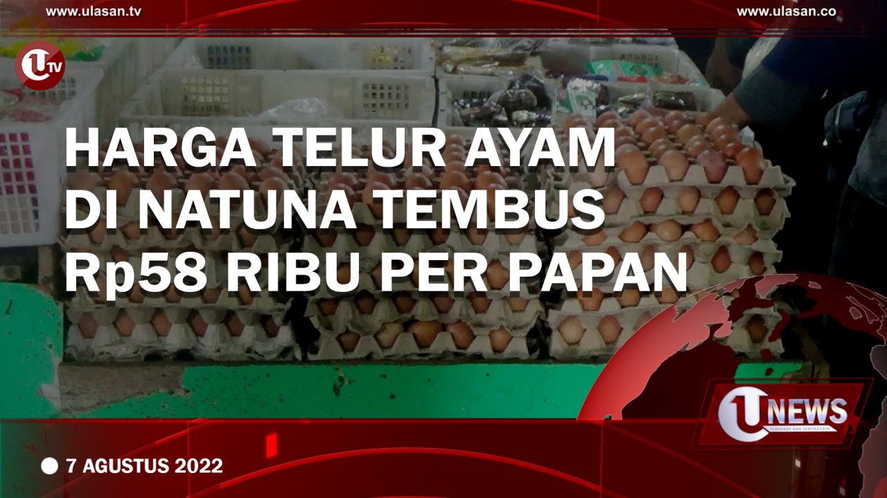 Harga Telur Ayam di Natuna Tembus Rp58 Ribu Per Papan