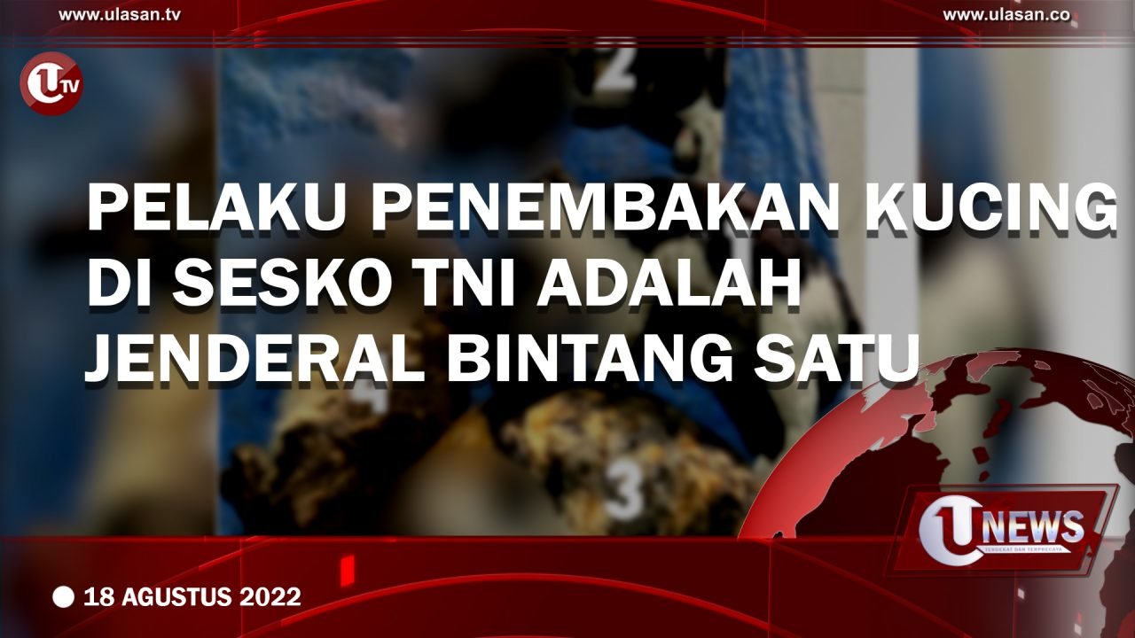 Pelaku Penembakan Kucing di SESKO TNI Adalah Jenderal Bintang Satu