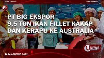 [Video] PT BIG Ekspor 9,5 Ton Ikan Fillet Kakap dan Kerapu ke Australia