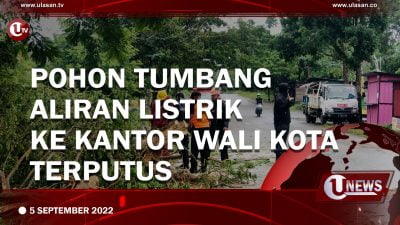 [Video] Pohon Tumbang, Aliran Listrik ke Kantor Wali Kota Terputus