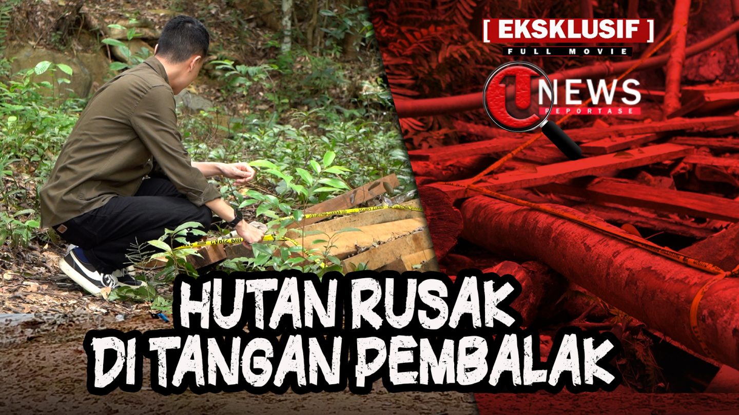 [Video] Menyoroti Penjarahan Hutan Lindung Gunung Lengkuas | U-NEWS REPORTASE #EPS64