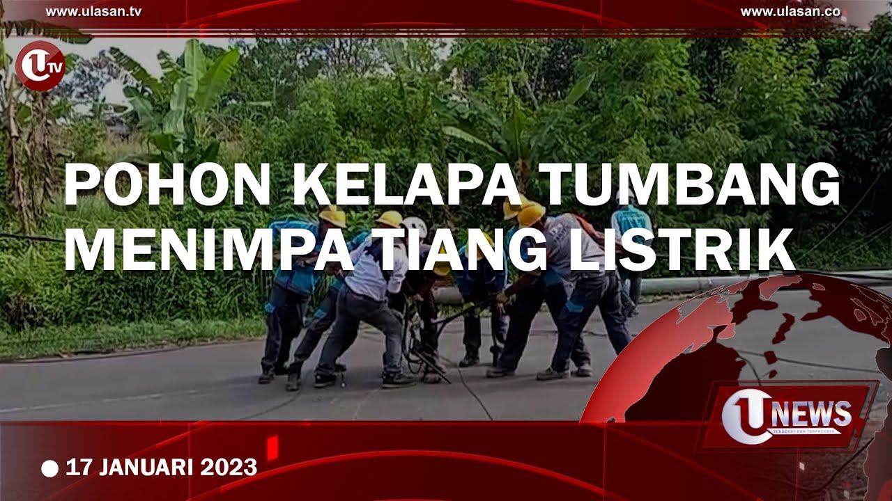 [Video] Pohon Kelapa Tumbang Menimpa Tiang Listrik