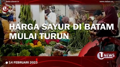 [Video] Harga Sayur di Batam Mulai Turun