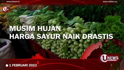 [Video] Musim Hujan, Harga Sayur Mengalami Kenaikan di Tanjungpinang