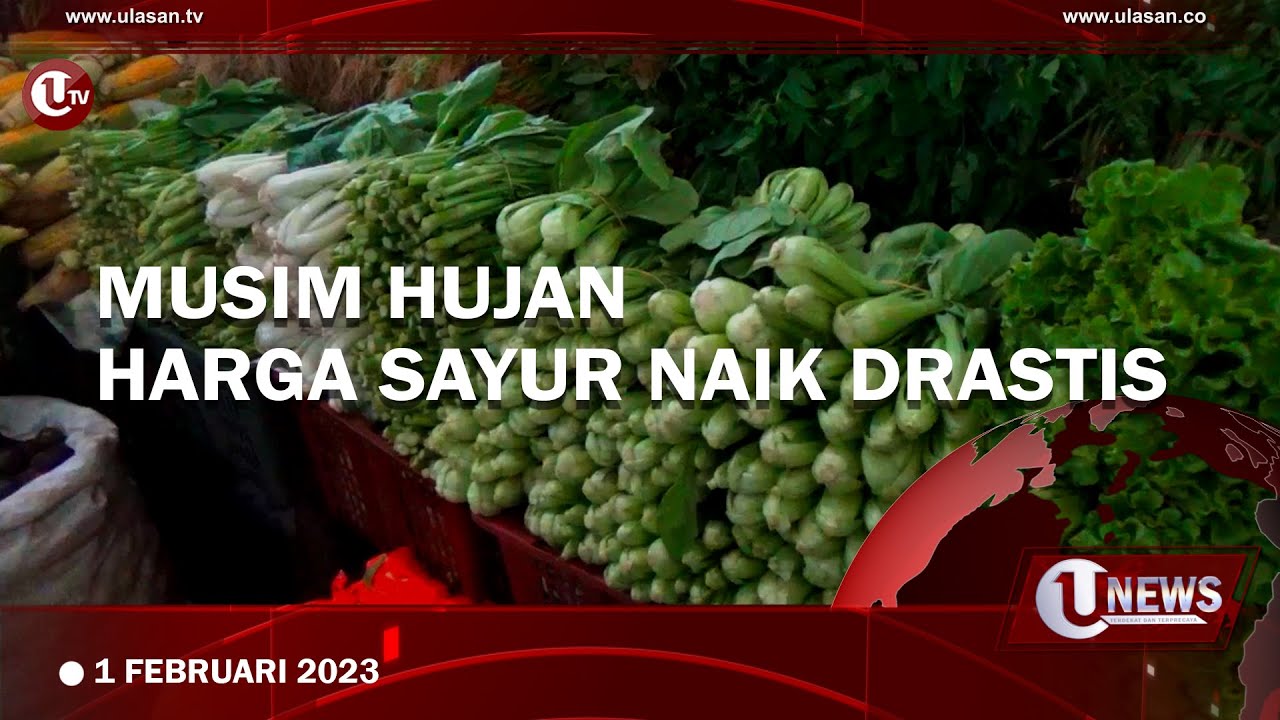 Musim Hujan, Harga Sayur Mengalami Kenaikan di Tanjungpinang
