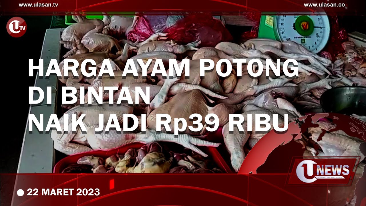 [Video] Jelang Ramadan, Harga Ayam Potong di Bintan Naik