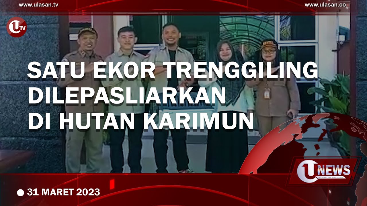 [Video] Komunitas Reptil Karimun Lepasliarkan Satwa Dilindungi