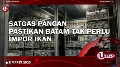[Video] Satgas Pangan Patikan Batam Tak Perlu Impor Ikan