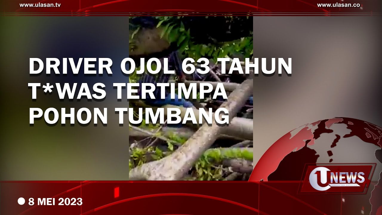 Tragis, Driver Ojek Online Tewas Tertimpa Pohon Tumbang di Padang