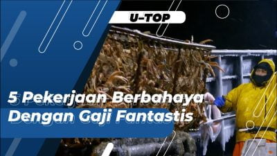 [Video] Pekerjaan Berbahaya dengan Gaji Yang Fantastis di Dunia | U-TOP #EPS110