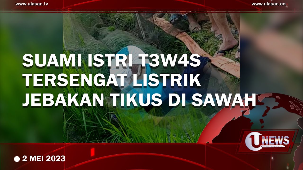 Tragis, Suami Istri di Lamongan Tewas Tersengat Aliran Listrik di Sawah
