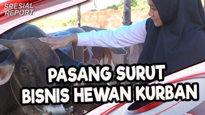 [Video] Pasang Surut Bisnis Hewan Kurban | U-NEWS SPECIAL REPORT