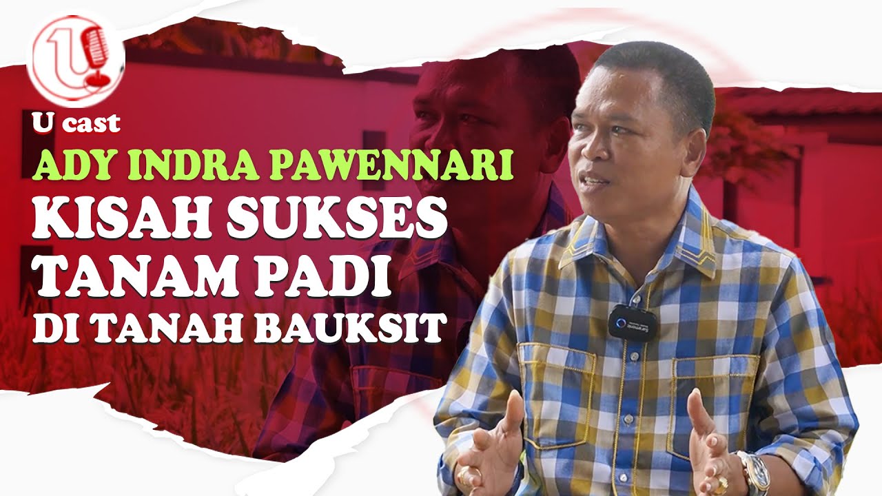 [Video] Begini Cara Menanam Padi dari Awal Hingga Panen di Tanah Bauksit | U-CAST #EPS84