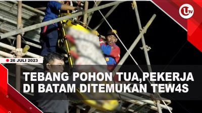 [Video] Pekerja Tewas di Atas Pohon Tua di Batu Merah Batam | U-NEWS