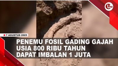 [Video] Warga Sragen Temukan Fosil Gading Gajah Berusia 800 Ribu Tahun | U-NEWS