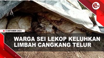 [Video] Limbah Cangkang Telur Telah Dibuang Pemilik Kebun | U-NEWS