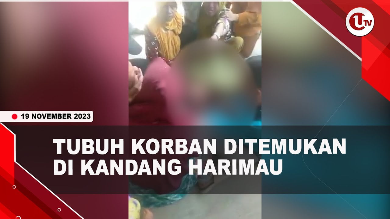 [Video] Pekerja Tewas Diserang Harimau Majikan | U-NEWS
