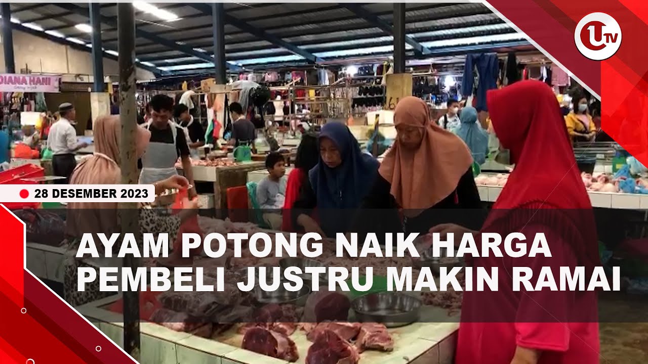 [Video] Harga Daging Ayam Potong di Tanjungpinang Naik Tipis | U-NEWS