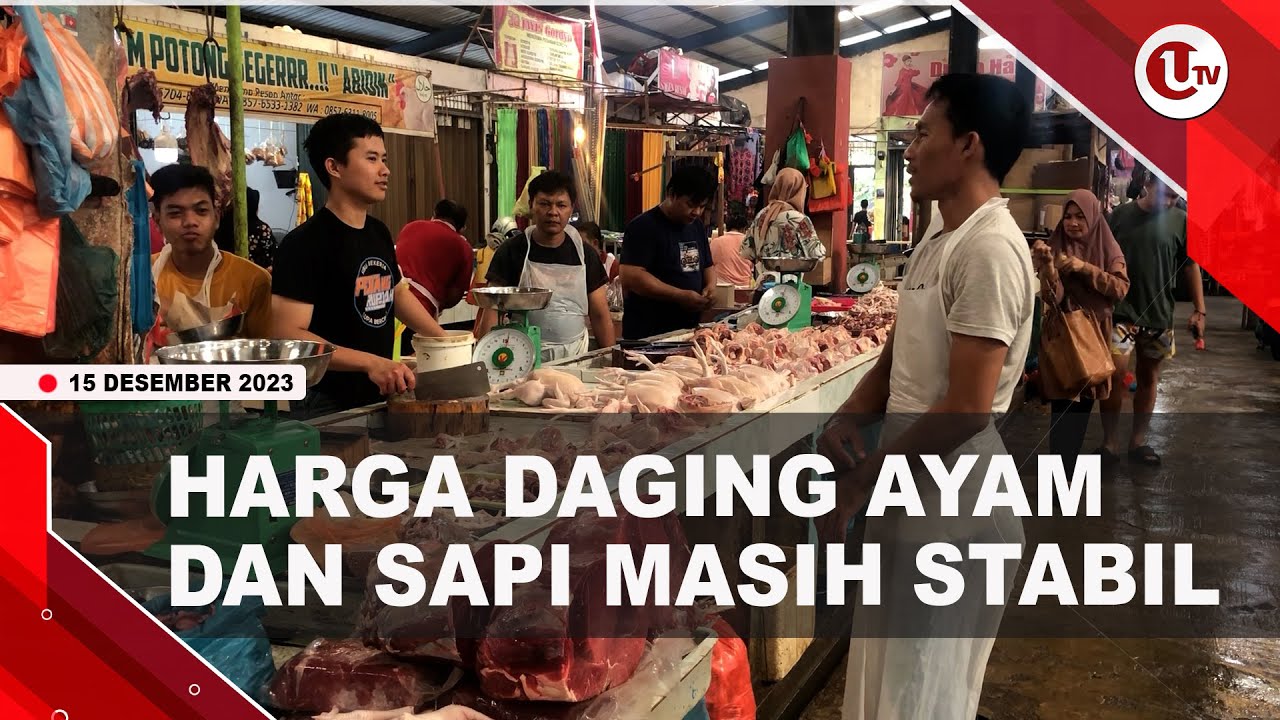 [Video] Jelang Natal dan Tahun Baru, Harga Daging Ayam dan Sapi Stabil | U-NEWS