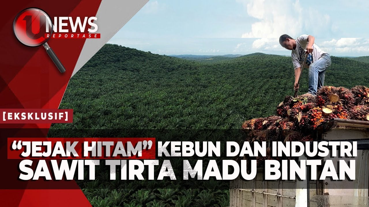 [Video] Menelusuri Dugaan Korupsi di Ribuan Hektare Kebun Sawit Bintan | U-NEWS REPORTASE #EPS113