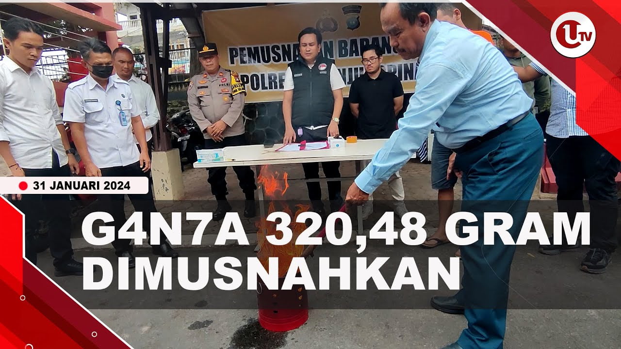 [Video] Polresta Tanjungpinang Musnahkan Ganja Seberat 320,48 Gram