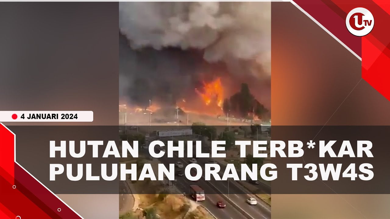 [Video] Kebakaran Hutan Chile Ribuan Orang Dievakuasi