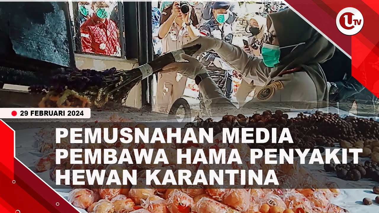 Balai Karantina Kepri Musnahkan Hama Penyakit Hewan Karantina