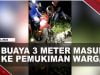 [Video] Damkar Karimun Tangkap Buaya 3 Meter Di Pemukiman Warga