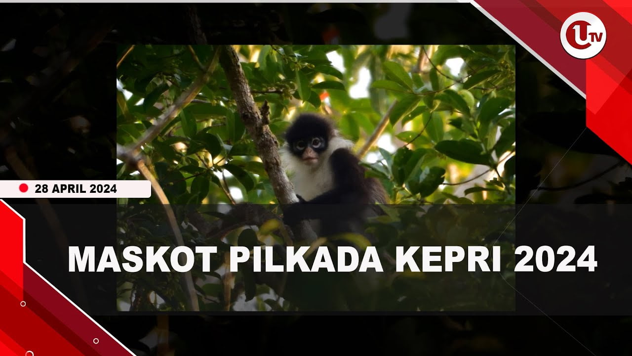 MENGENAL KEKAH NATUNA, MASKOT PILKADA KEPRI 2024