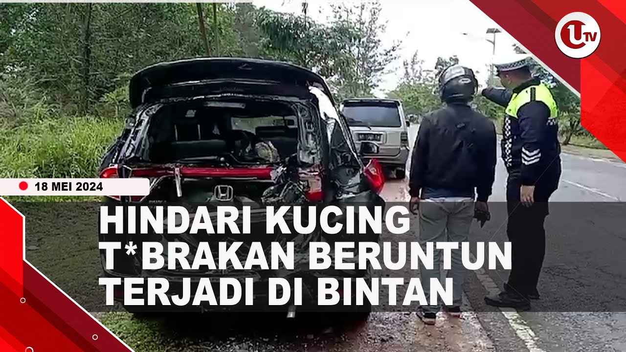 [Video] Hindari Kucing, Tabrakan Beruntun Terjadi Di Jalan Lintas Barat Bintan