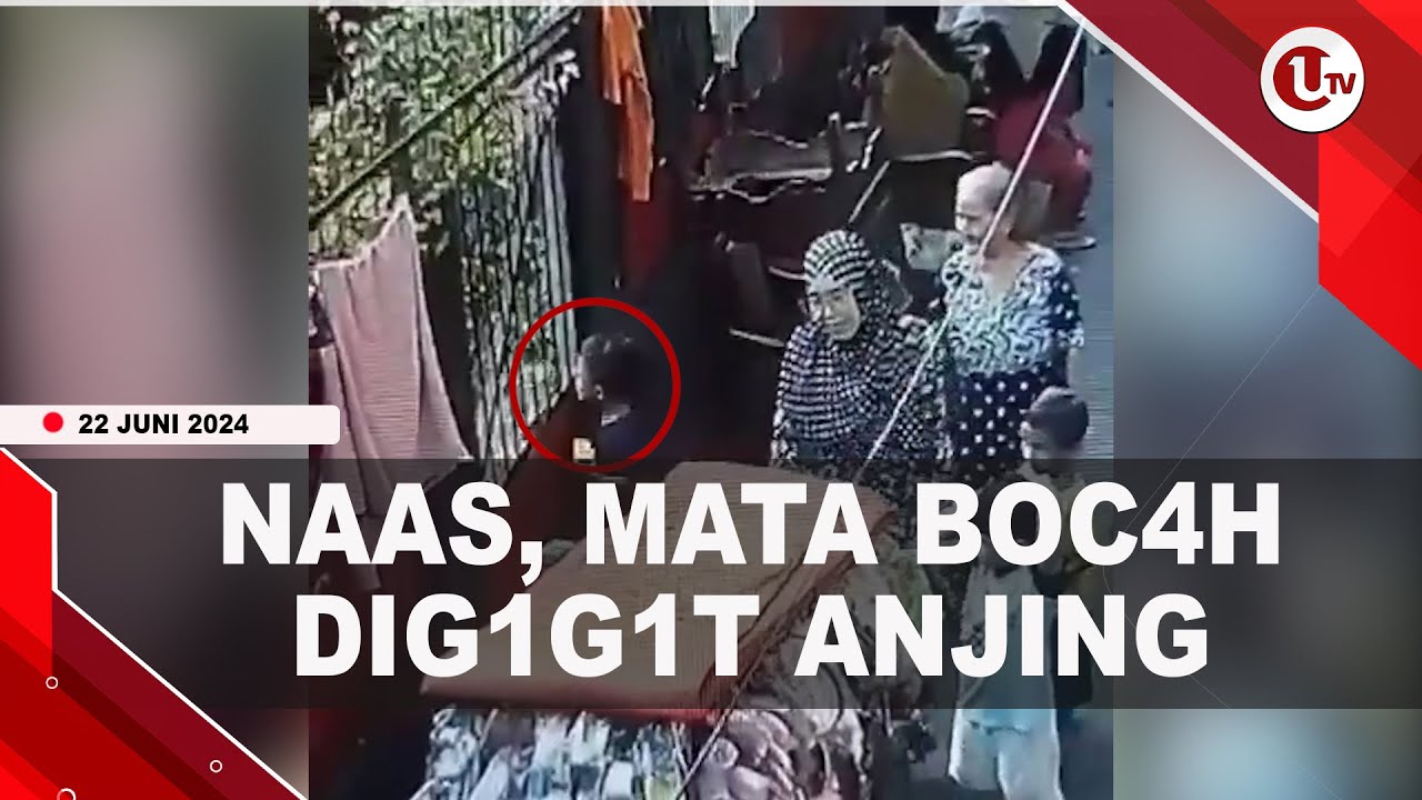 Kronologi Mata Bocah 7 Tahun Digigit Anjing Tetangga