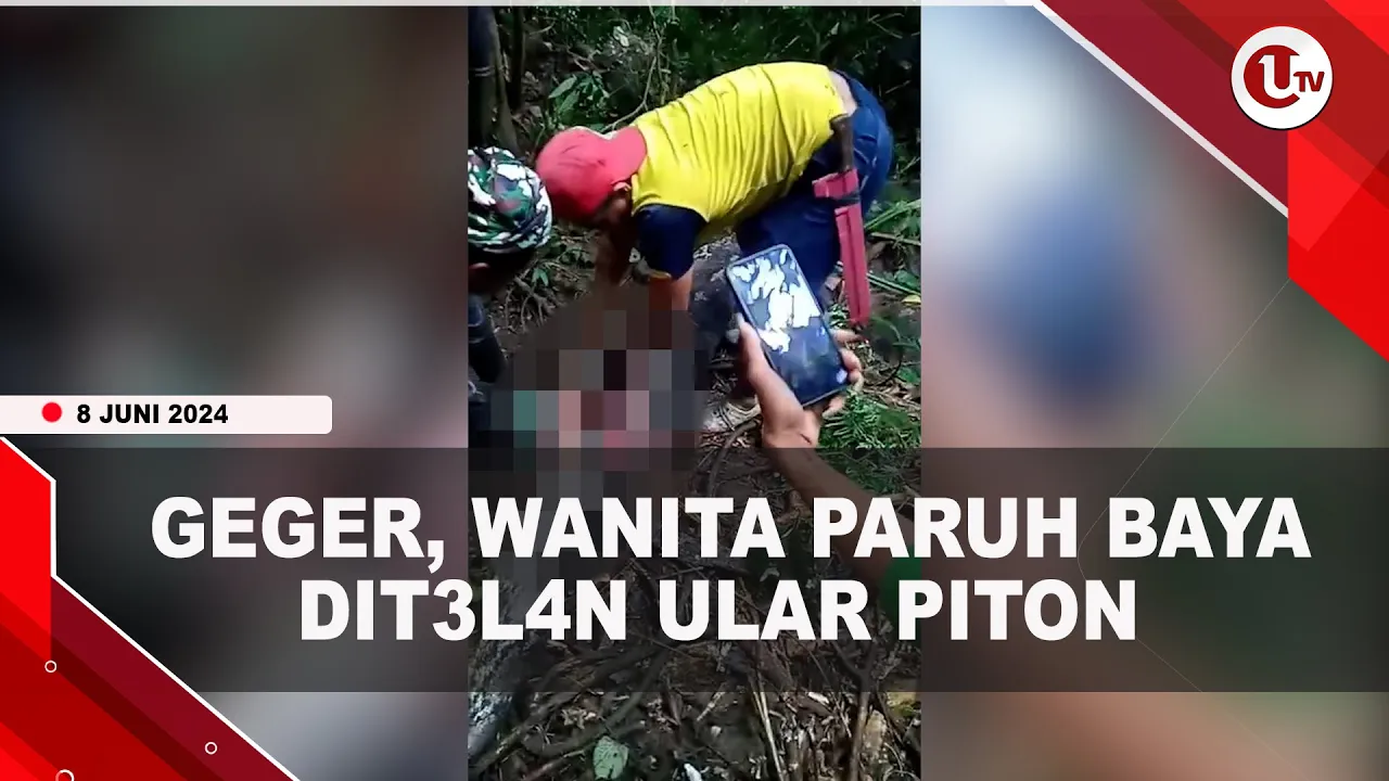 Wanita Paruh Baya Tewas Ditelan Ular Piton
