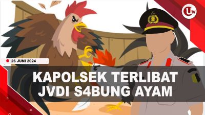[Video] Kapolsek Kahu Dicopot Terlibat Judi Sabung Ayam