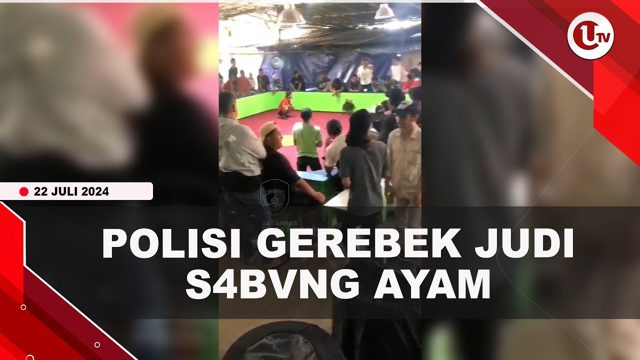 70 Orang Diamankan Dalam Penggerebekan Judi Sabung Ayam