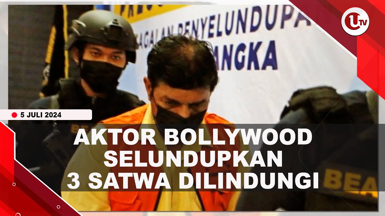 Aktor Bollywood Ditangkap Bea Cukai Bawa 3 Satwa Dilindungi
