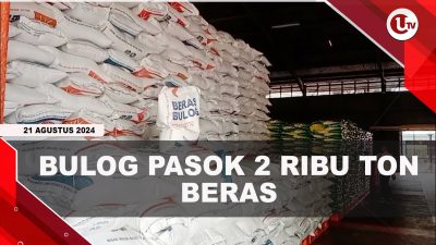 [VIDEO] Kebutuhan Beras Tanjungpinang-Bintan 150 Ton per Bulan