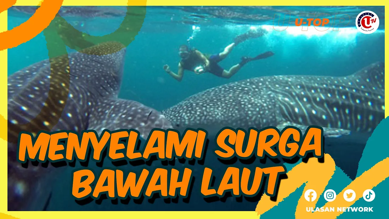 5 Destinasi Wisata Bawah Laut Terindah di Dunia